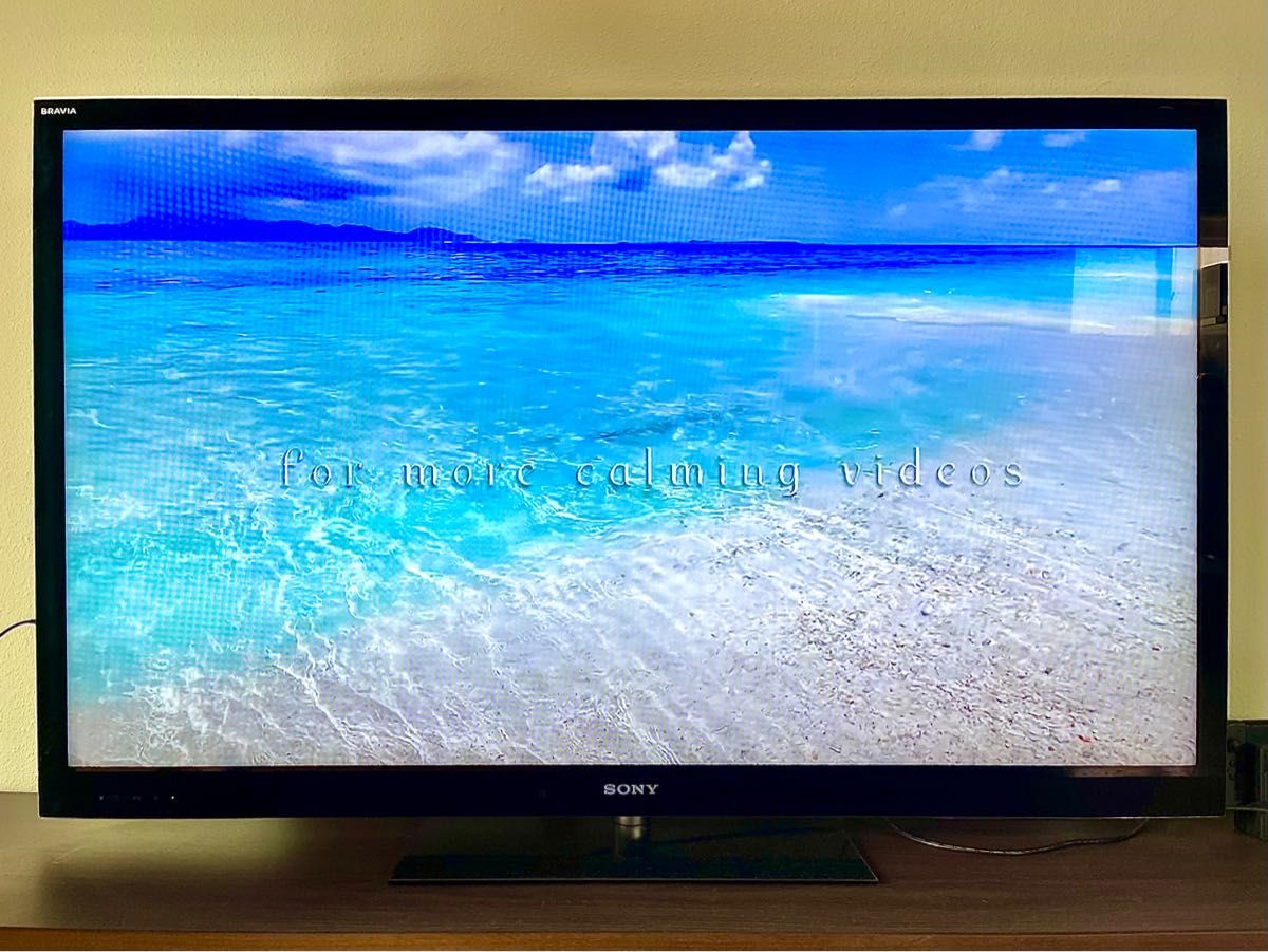 SONY BRAVIA 55型 液晶テレビ KDL ソニー