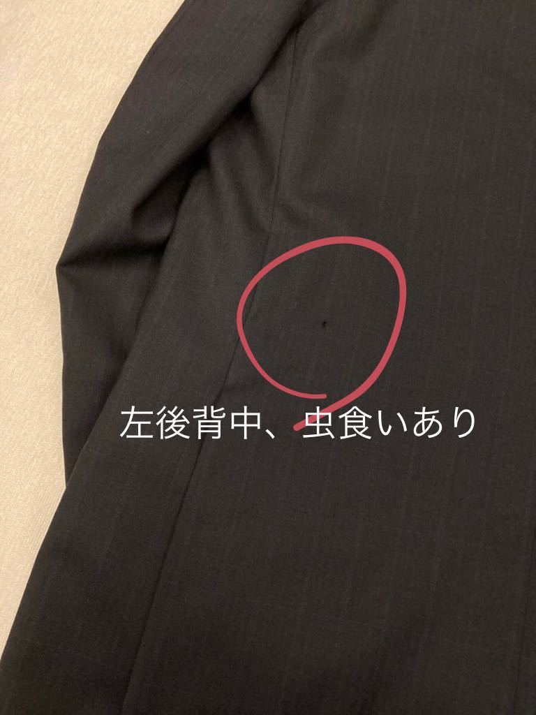 左後背中に蟲食いあり