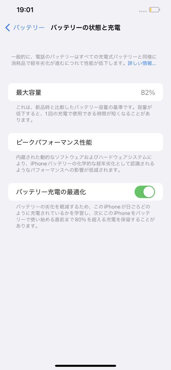 iPhone 12 Pro Max 256GB SIMロック無し パシフィックブルー_画像9