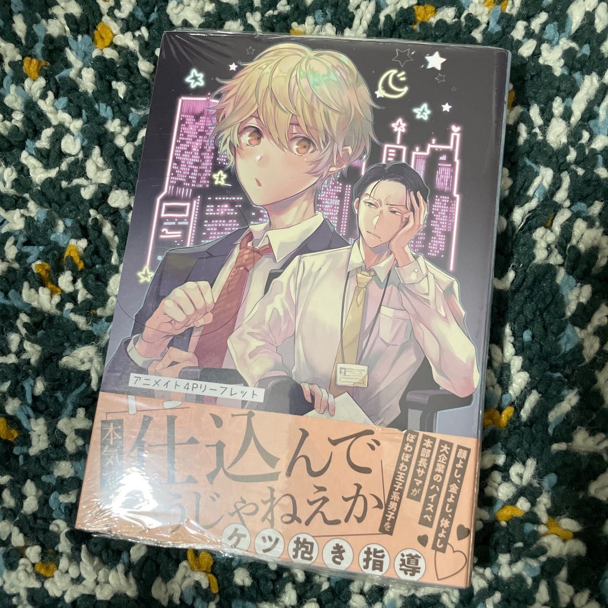 輪子湖わこ　アニメイト限定版