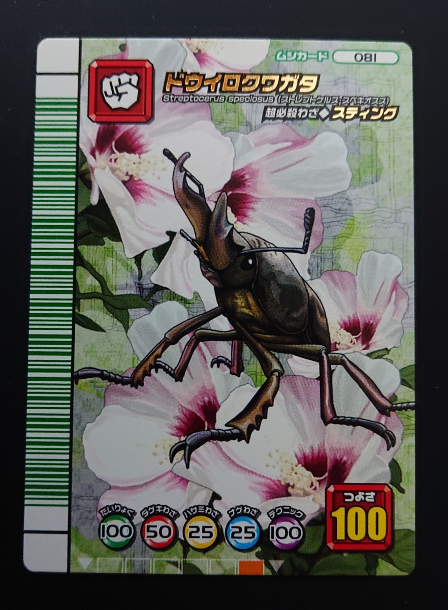 甲虫王者ムシキング 5周年記念コレクションカード 第２弾 ドウイロ 