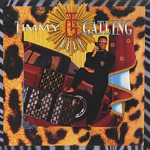 貴重廃盤 Timmy Gatling Help 日本国内盤 Guyのオリジナルメンバーのソロ唯一となったアルバム。ニュージャックスウィングの画像1