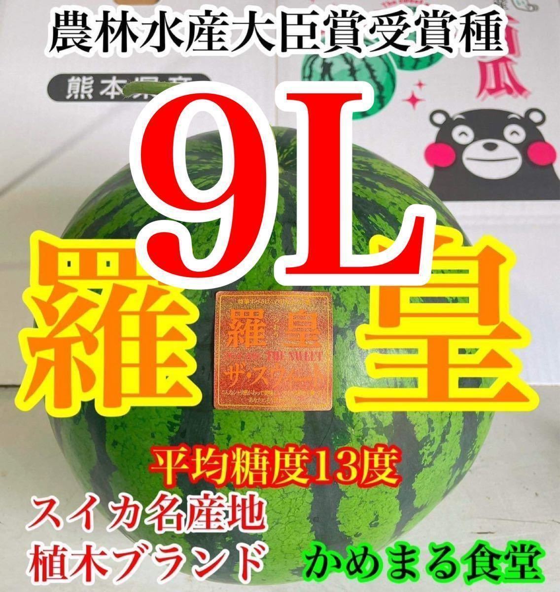 ビックサプライズ!大玉スイカの最高傑作【羅皇】超特大9L(14〜15kg