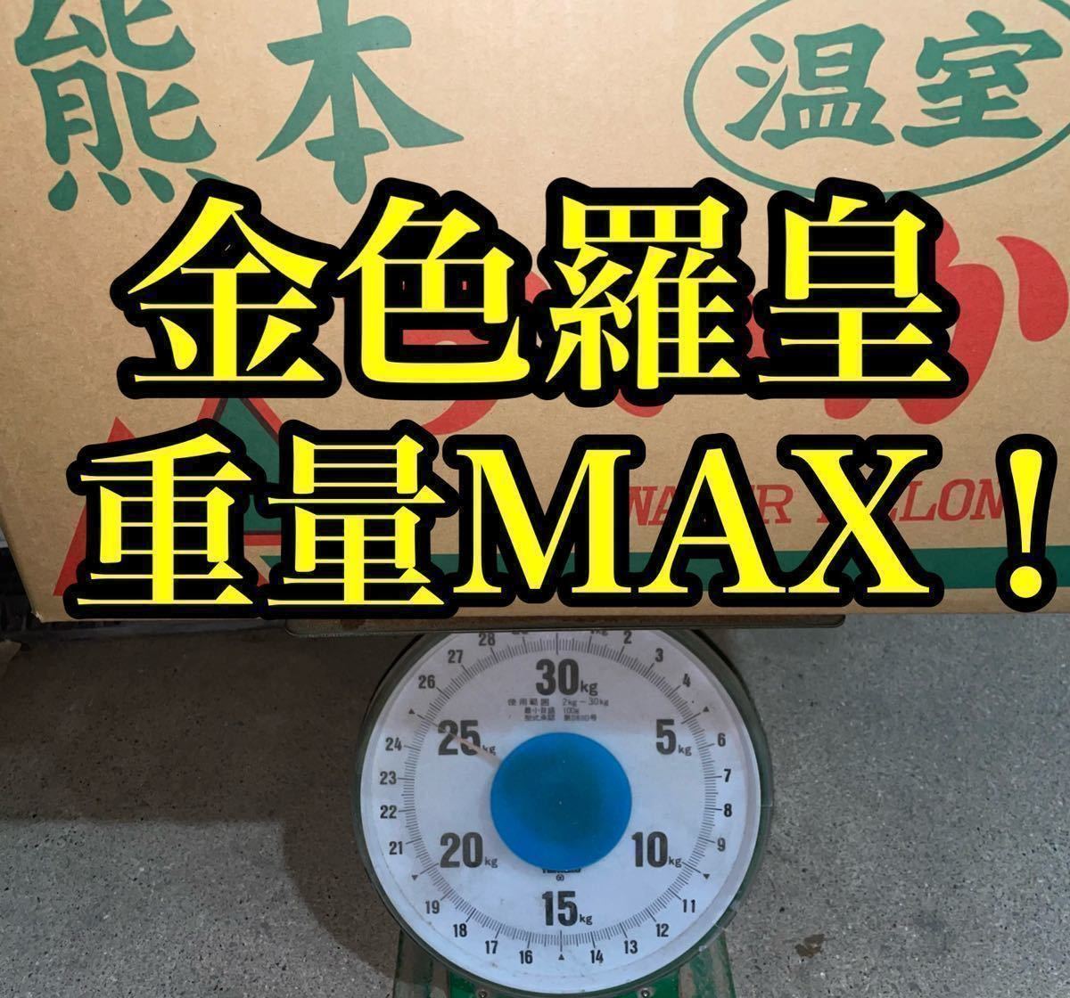 豪華特大セット】大玉スイカの最高傑作【金色羅皇】6L前後2玉セット