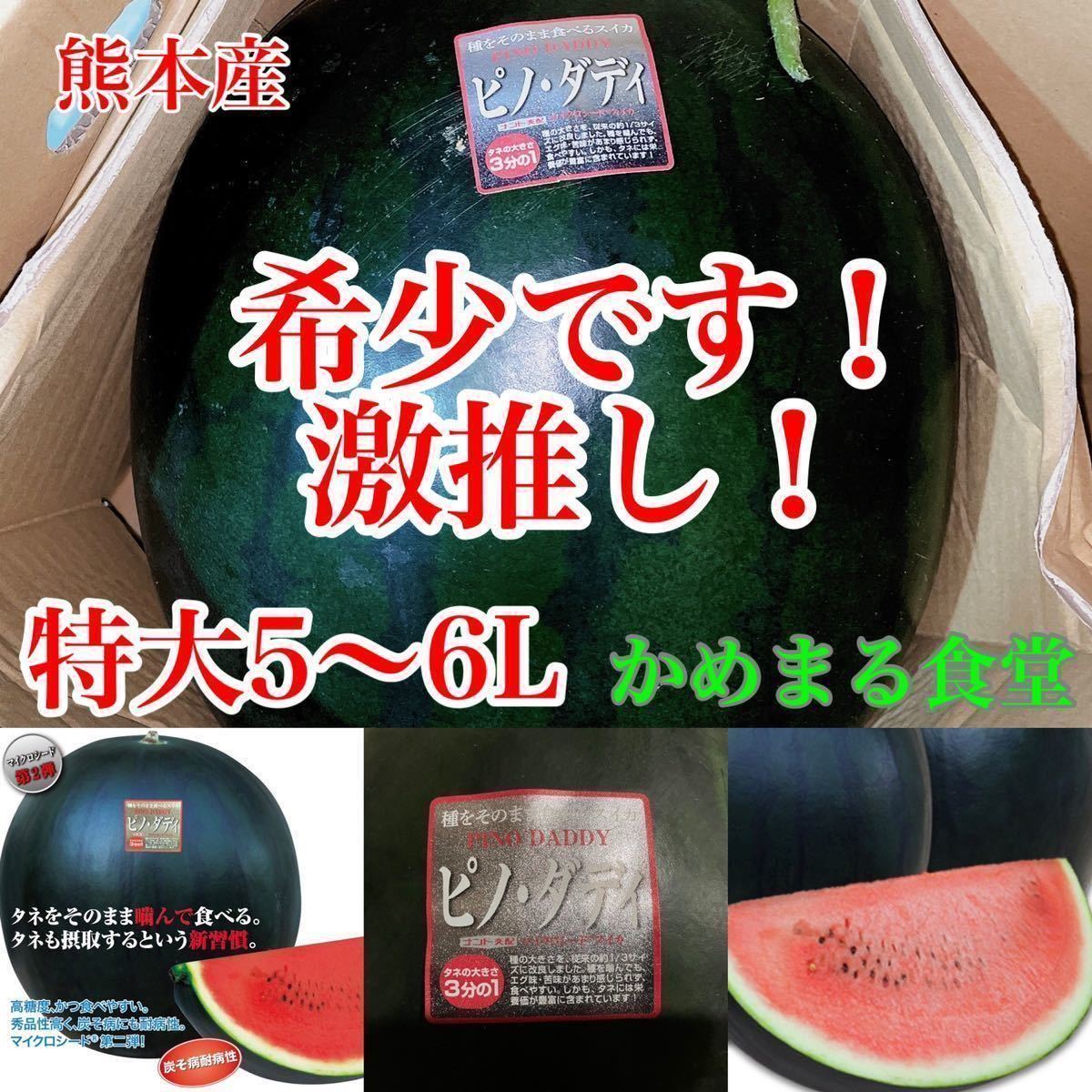 ズバリ!美味しいです】特大!大玉スイカ【ピノダディー】特5〜6L(10
