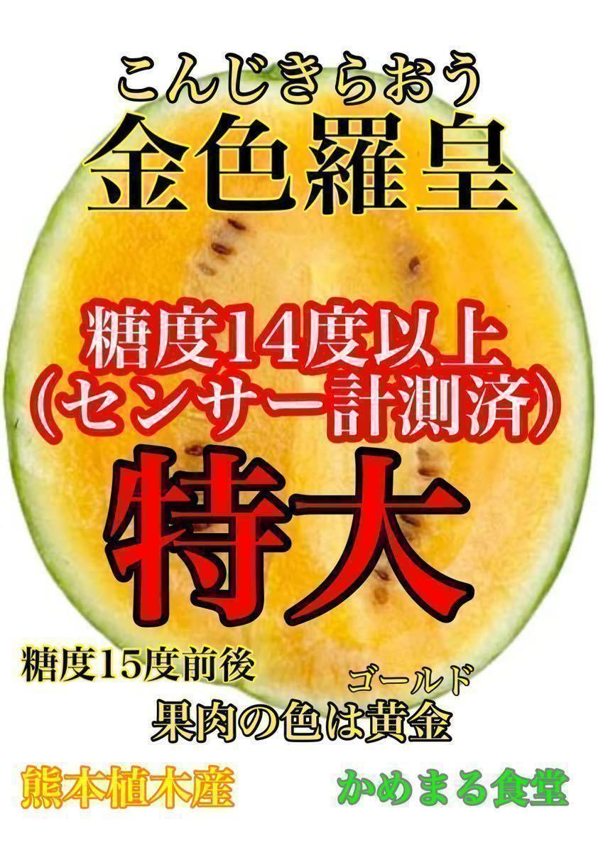 唸る美味しさ!大玉スイカの最高傑作【金色羅皇】5Lサイズ(10〜11kg