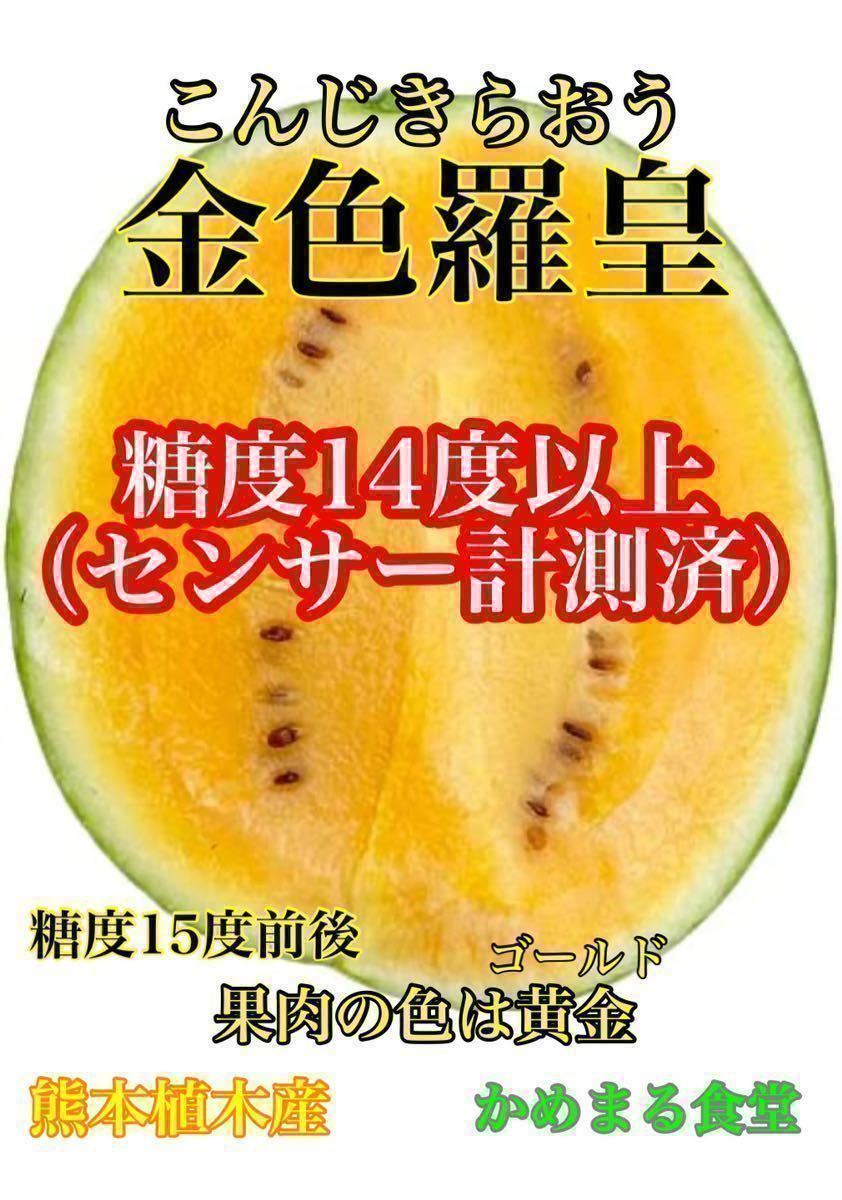 唸る美味しさ!大玉スイカの最高傑作【金色羅皇】6Lサイズ(11〜12kg