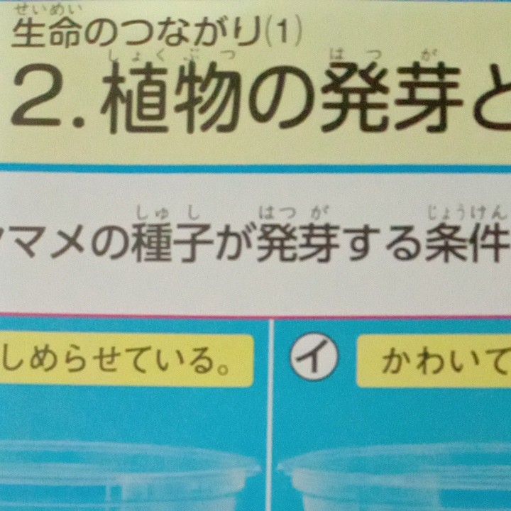 小学５年生　理科　予習　カラー　テスト　大日本図書　せいしん　理科ノート　セット　未使用　家庭学習　先取り　対策