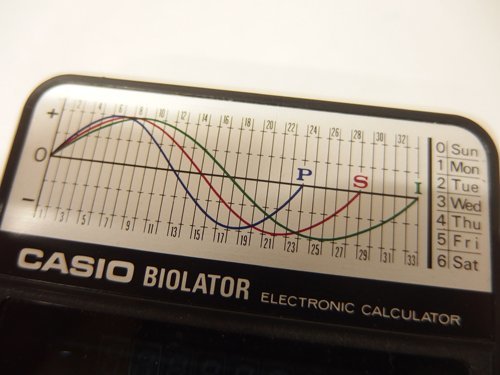 0630738a[ conditions me flight ]CASIO calculator BIOLATOR H-801 Casio / Daihatsu / count machine /12.5×7.5×2cm degree / operation OK/ secondhand goods / simple packing ... packet shipping possibility 