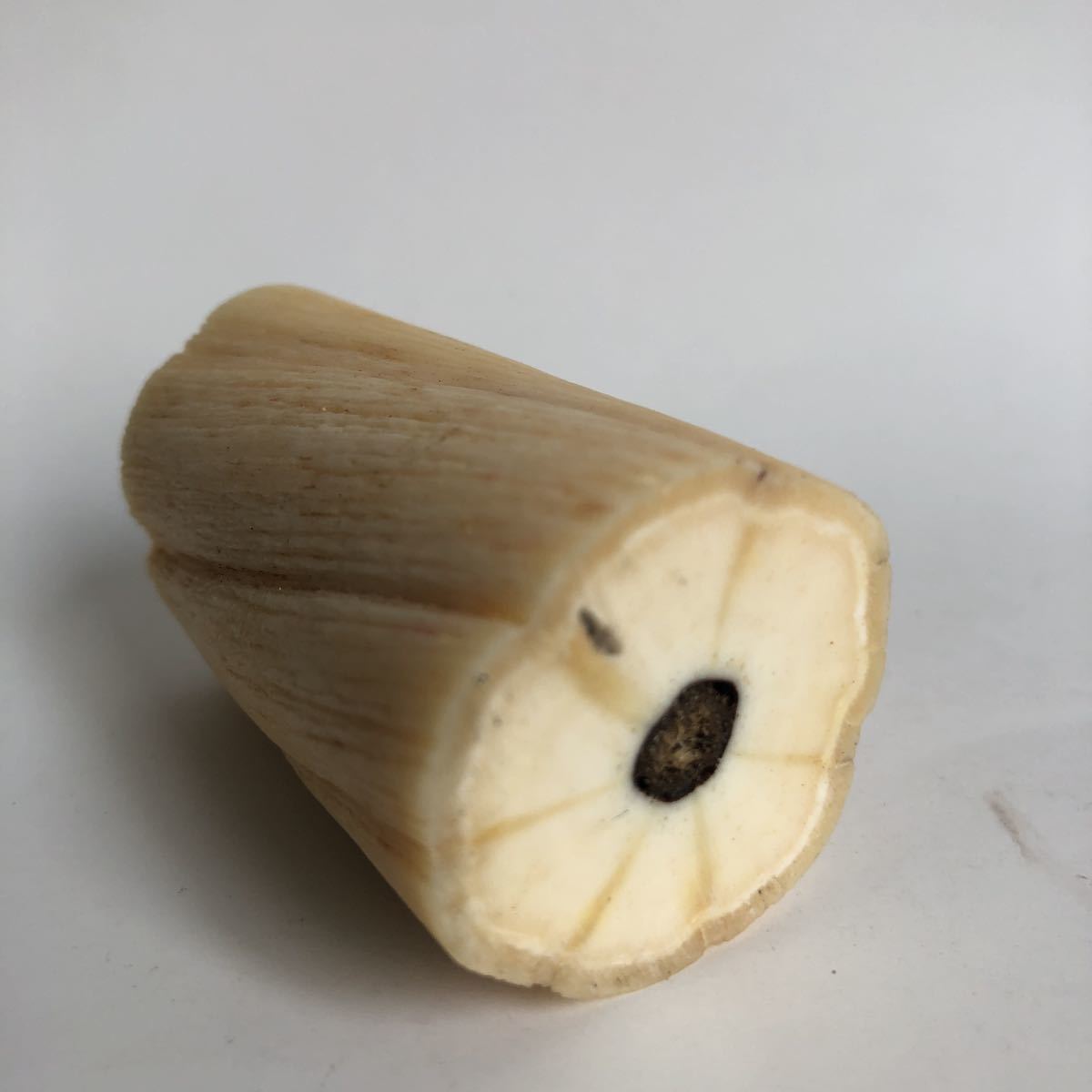 ◇イッカククジラ 歯 約78g 一角鯨の歯 ウニコール くじら 牙 骨 根付 ◇イッカククジラ 歯 約78g 一角鯨の歯 ウニコール くじら 牙 骨 根付