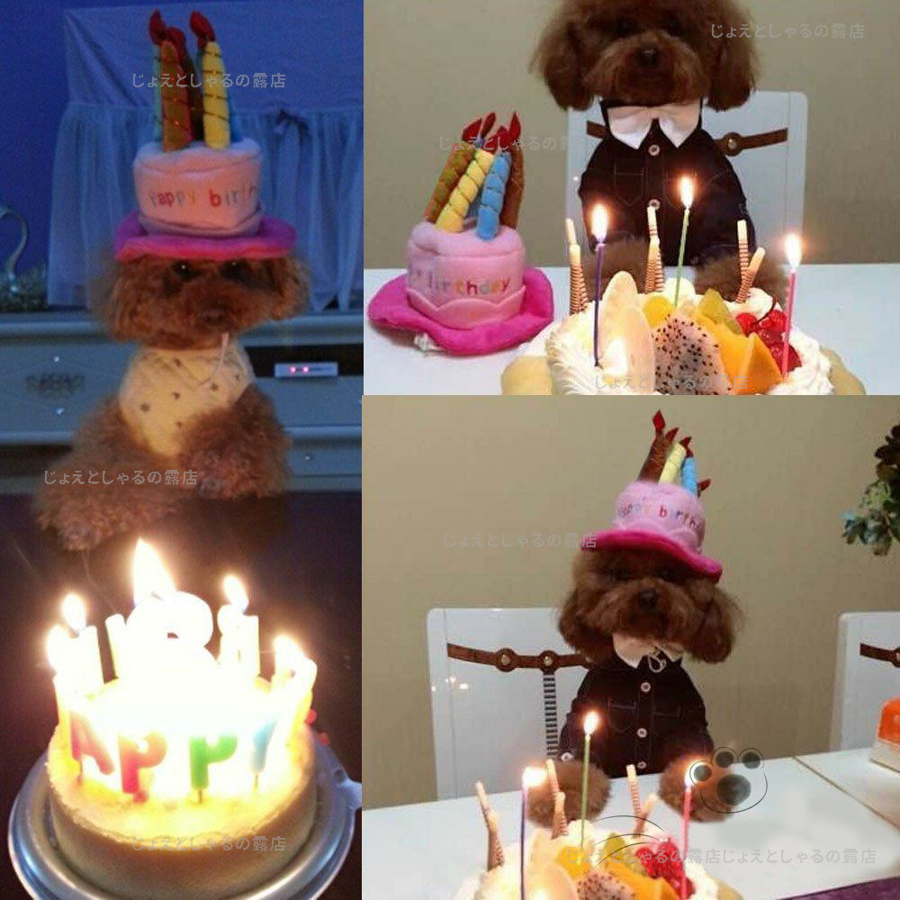 【全2色】猫犬 誕生日 プレゼント 子供 帽子 ケーキ ロウソク ぬいぐるみ　しゃる断捨離_画像9