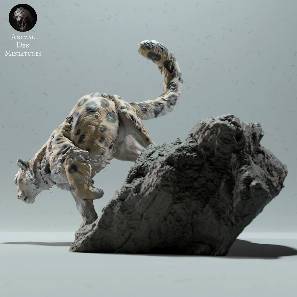 Snow Leopard Rock_画像3