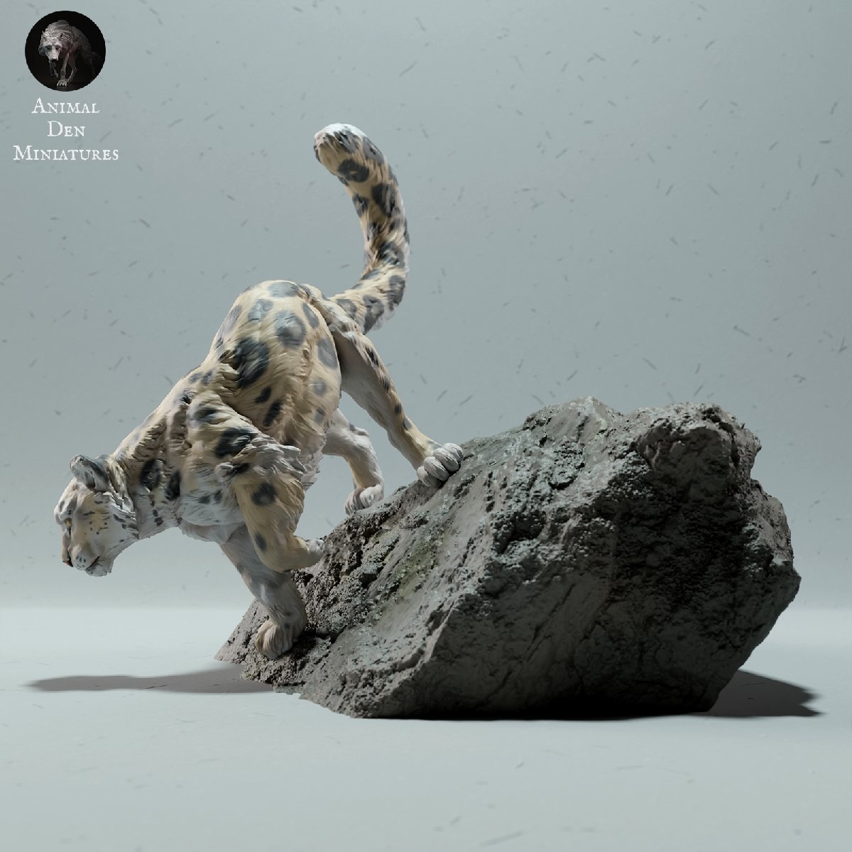 Snow Leopard Rock_画像4