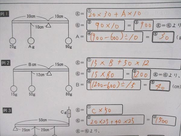 UQ84-022 浜学園 小6/小学6年 サイエンス 理科 第2分冊 テキスト/解答解説 2019 問題/解答付計2冊 15S2B_画像4