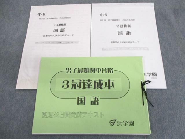 輝い 男子最難関中合格 小6 浜学園 UP02-095 3冠達成 S2D 14 計3冊