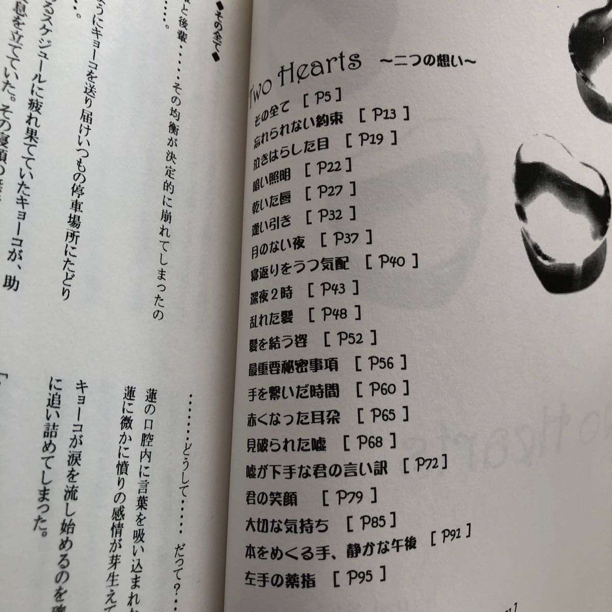 スキップビートfan book 蓮×キョーコ同人誌小説