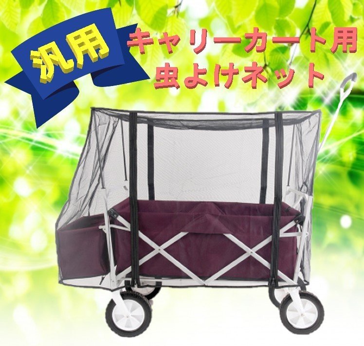 隈本政宗 KMT整体 痛み消失の治療法則 & 内臓法則 DVD フルセット 健康