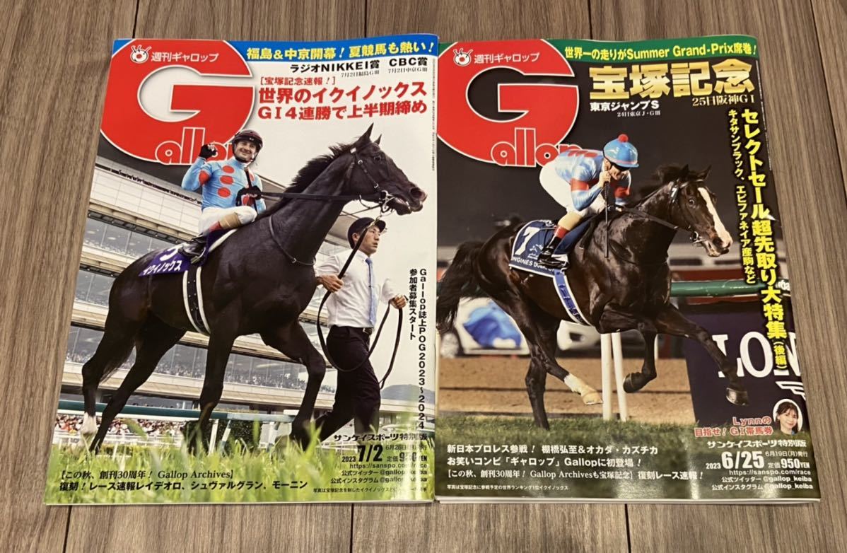 競馬雑誌 週刊Gallop ２冊セット - 趣味