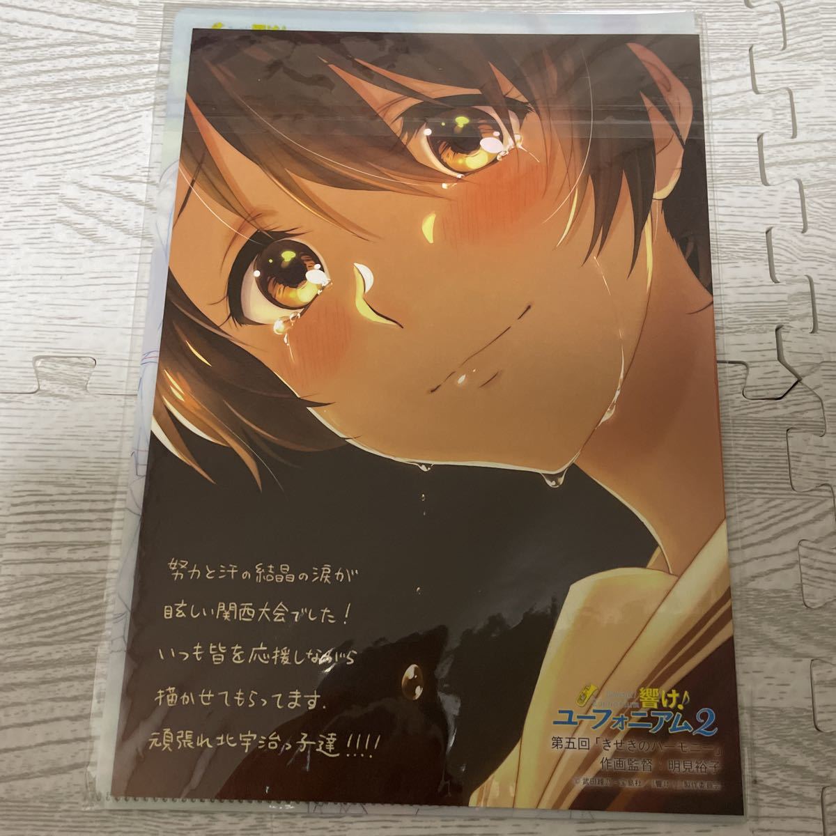響け ユーフォニアム2 Blu-ray/DVD 第3巻 京アニショップ 購入 響け ユーフォニアム2 Blu-ray/DVD 第3巻 京アニショップ 購入