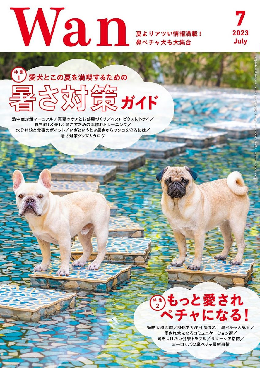 Wan 2023年 7月号(特集：愛犬とこの夏を満喫するための暑さ対策ガイド