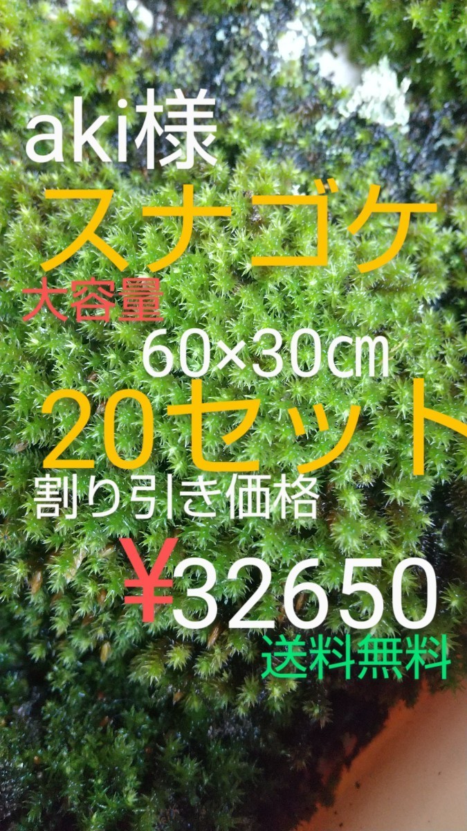 スナゴケ大容量60×30㎝×30セット・お庭・植木周りに・宅急便発送-