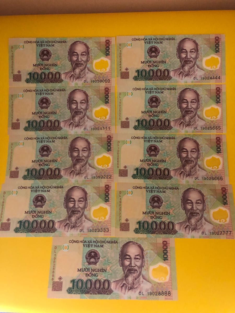 ベトナムドン　ベトナム紙幣　1万ドン　9枚　珍しい