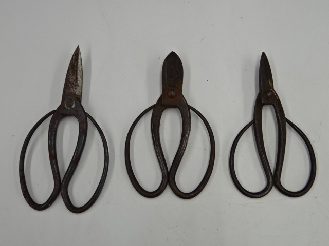 E3-0616 * pruning . natural flower . plant . various set sale hill . source structure . one higashi 9 .* scissors . natural flower pruning gardening 