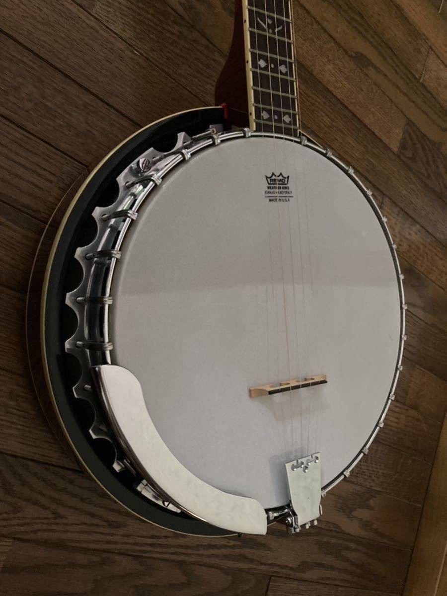 Epiphone- Gibsonの5絃バンジョー ハードケース 付き | normanhubbard.com