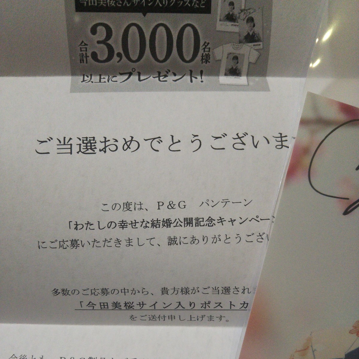 今田美桜 サイン入り ポストカード P&G パンテーン わたしの幸せな結婚