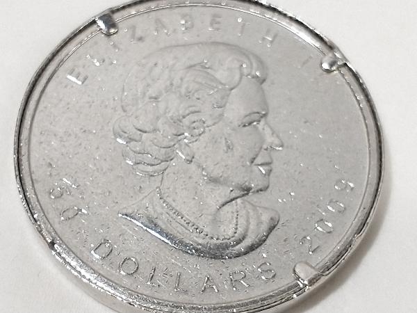 Pt1000 Pt900 プラチナ(総34.4g) コイントップ カナダ 金貨 1oz
