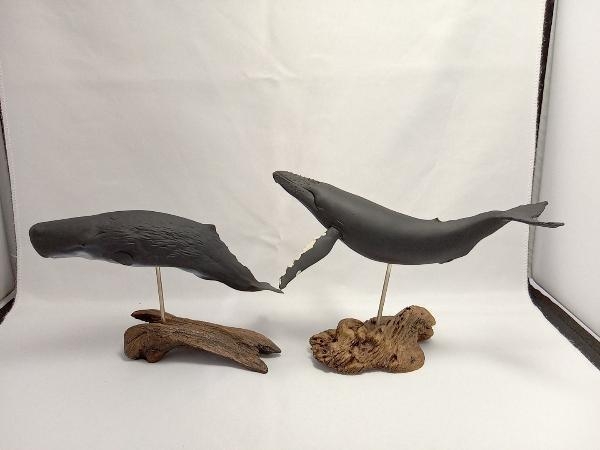 海洋堂 アクアランド 自然史モデルコレクション マッコウクジラ 海洋堂 アクアランド 自然史モデルコレクション マッコウクジラ