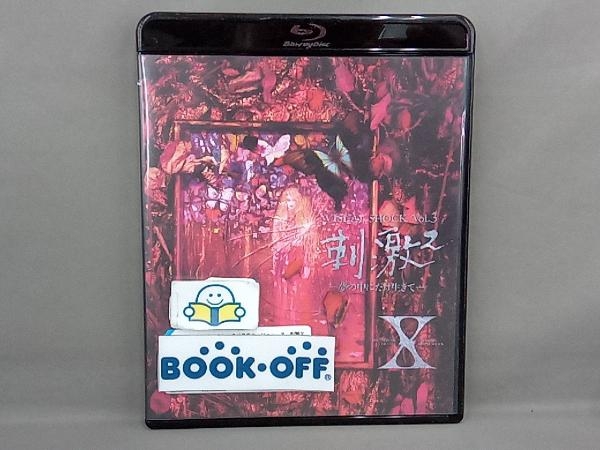 X JAPAN VISUAL SHOCK Vol.3. ultra 2 - dream. middle . only raw ..-(Blu-ray Disc)