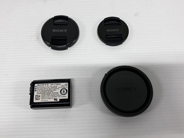 SONY α6000 ILCE-6000 SELP1650 SEL55210 ダブルレンズ ミラーレス一眼