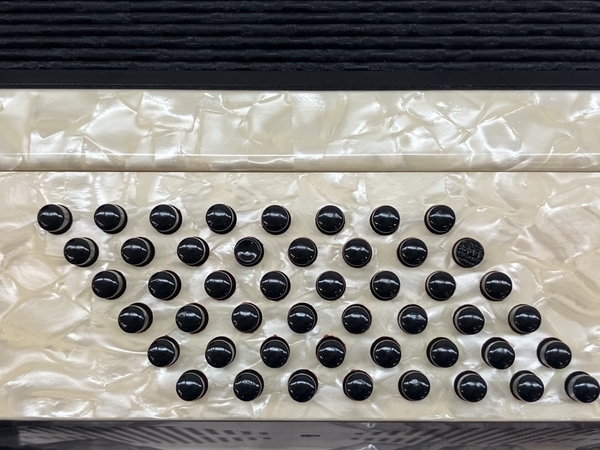TOMBO J-261 アコーディオン ケース付き 楽器 トンボ C7537916