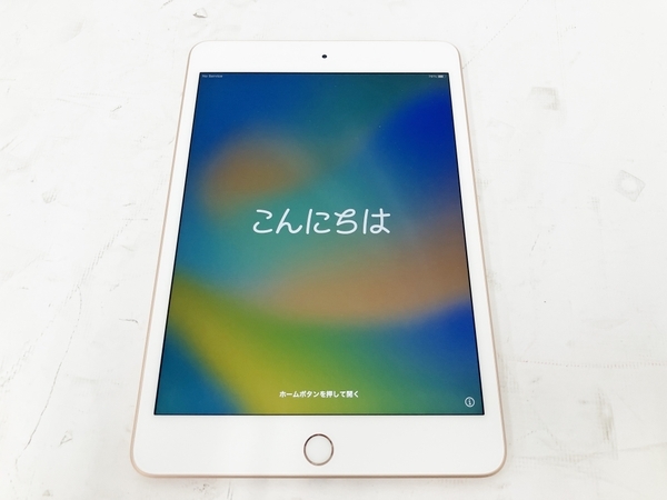 Apple iPad mini MUX72J/A 7.9インチ 第5世代 64GB Wi-Fi+Cellular