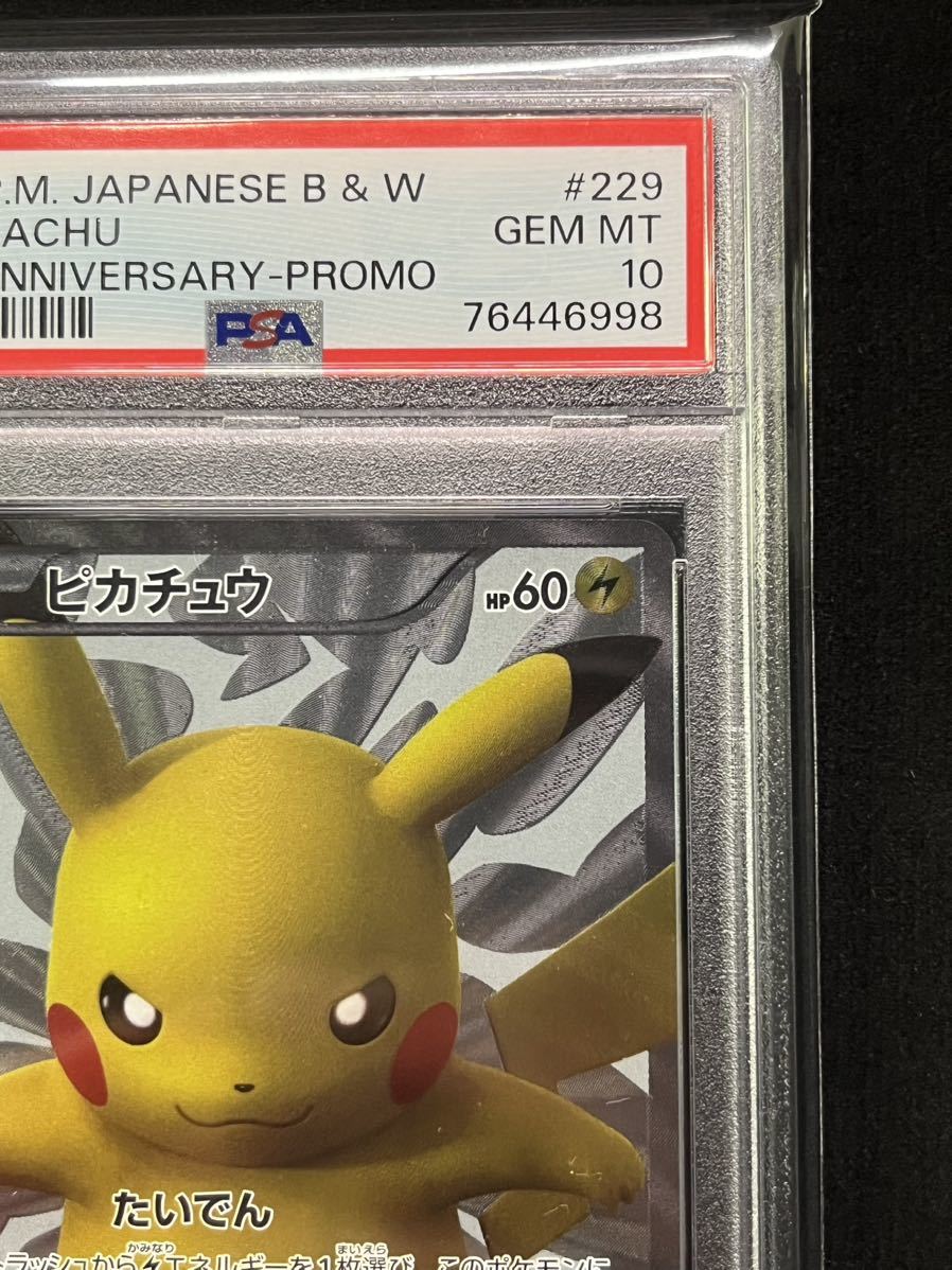 PSA10 ポケモンカード ピカチュウ プロモ 229/BW-P 15周年