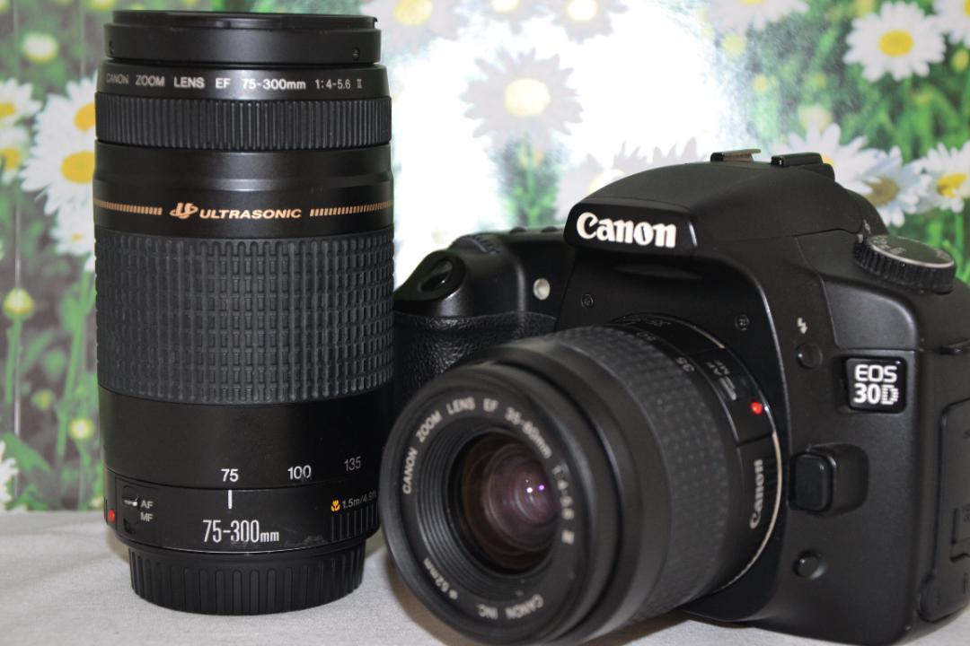 新しいブランド Canon Eos 30Dキャノン デジタル一眼レフダブルレンズ