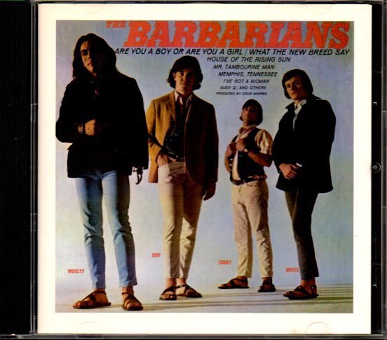 The Barbarians「Are You A Boy Or Are You A Girl」Nuggets/USガレージ_画像1