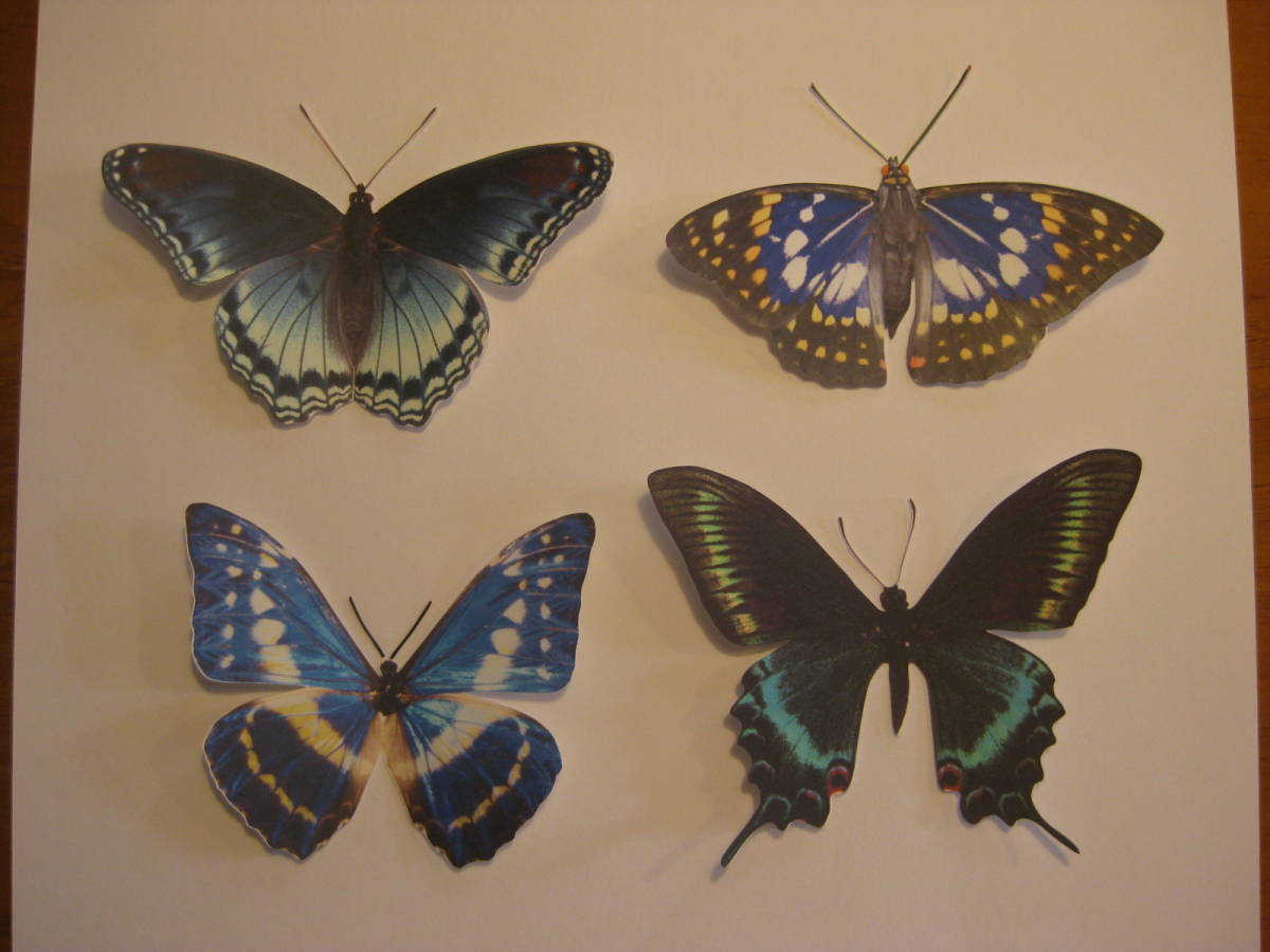 プリント蝶々の足と口　切り絵_色んな蝶に使えます