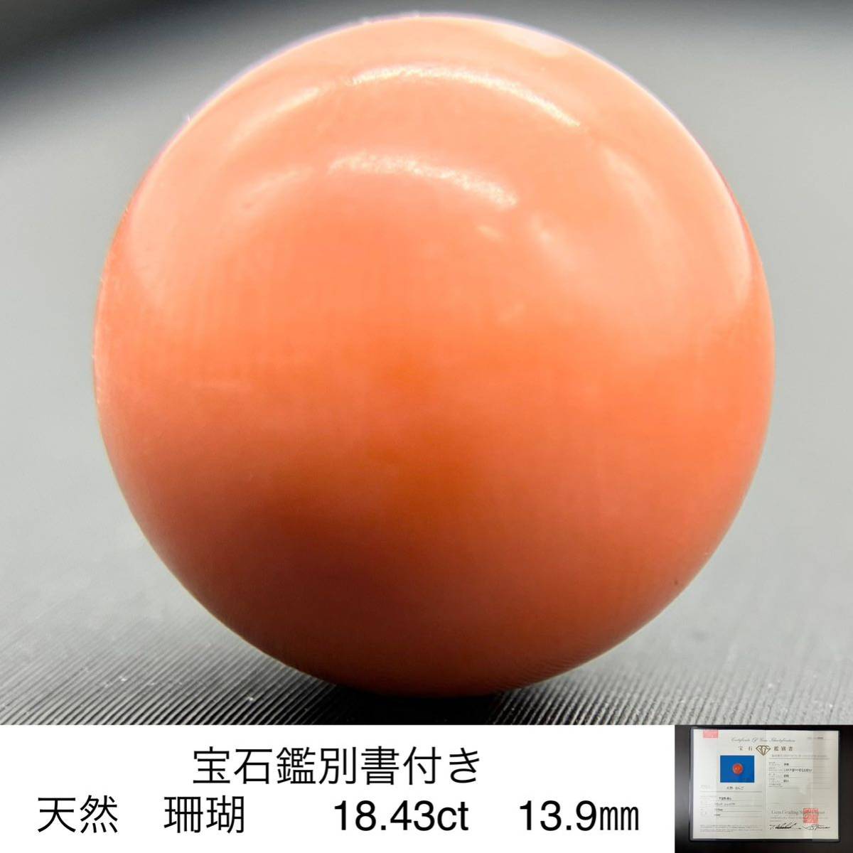 激安 直営 店 通販 宝石鑑別書付き 天然 珊瑚 ( さんご サンゴ