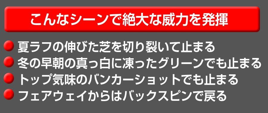 【ヘッド単品1個】世界最強スピンで ボーケイ RTX MG3 JAWS FOURTEEN ゼクシオ ZX5 ステルス より止まる ダイナミクス ハイスピン ウェッジ_画像7