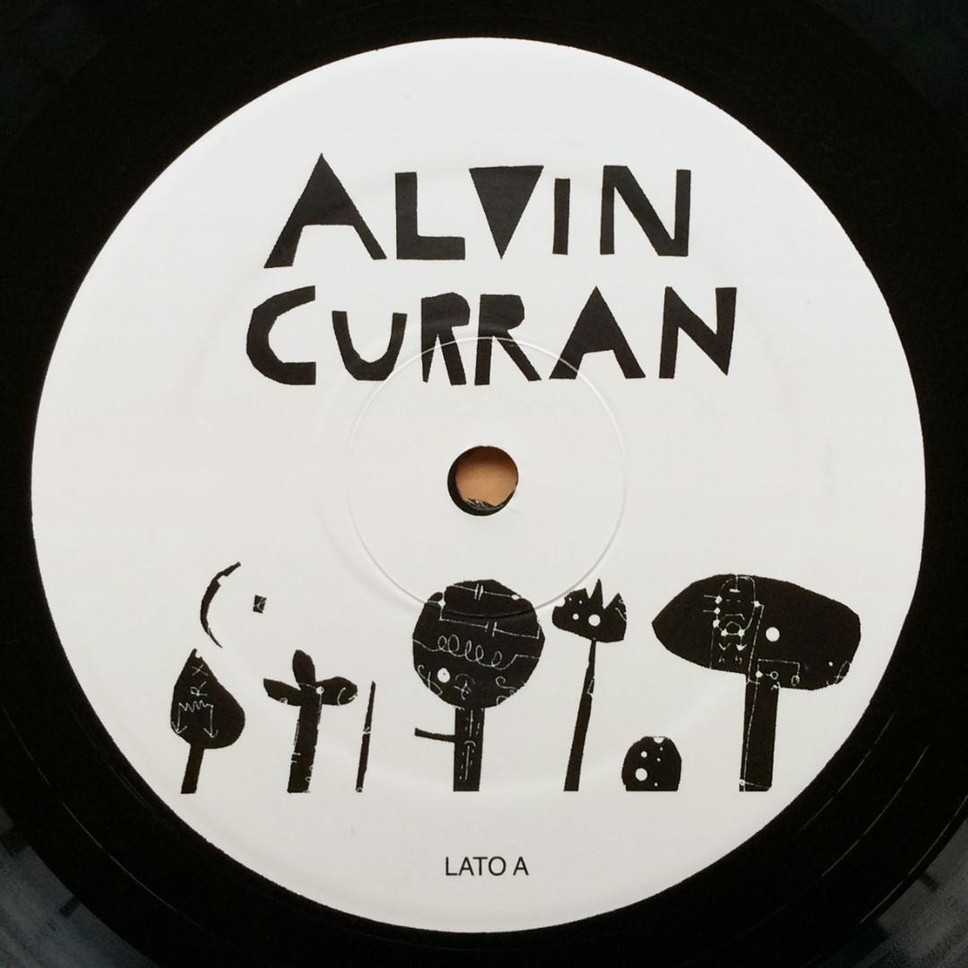 Alvin Curran　Canti E Vedute Del Giardino Magnetico　2018年　LPレコード　未使用美盤　イタリア産霊性ミニマル/アンビエント　SV129_画像6