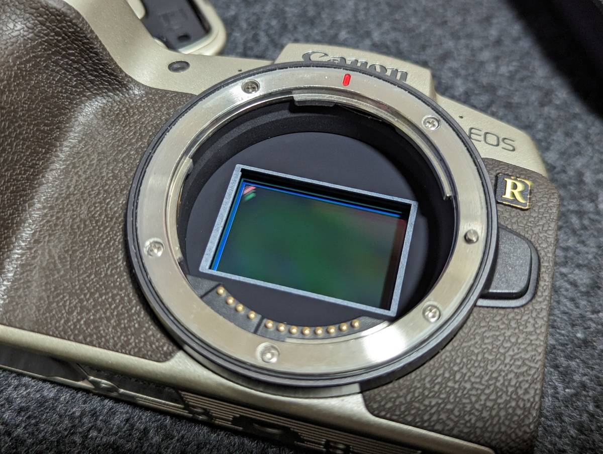 CANON EOS RP ボディ ゴールド ミラーレス一眼 キヤノン フルサイズ CANON EOS RP ボディ ゴールド ミラーレス一眼 キヤノン フルサイズ
