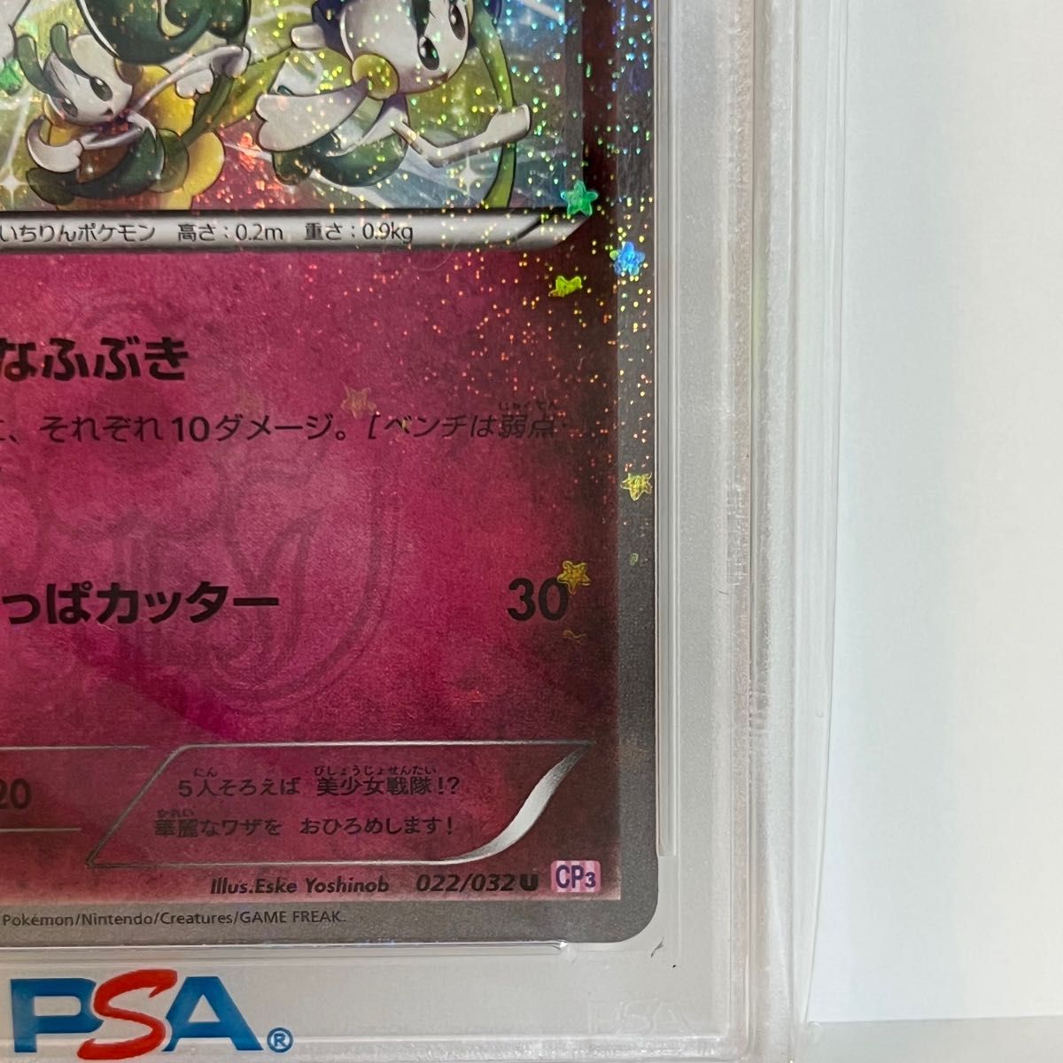 ポケキュン psa10 フラエッテ ポケカ