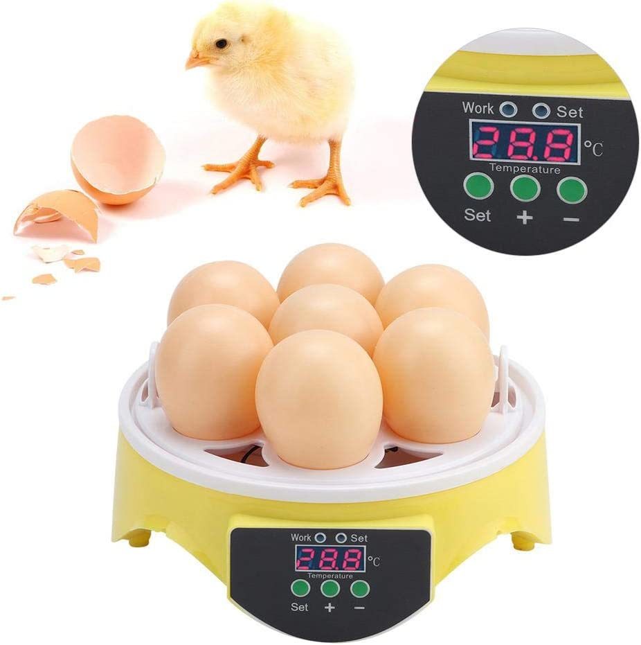  automatic . egg vessel in kyu Beta -7 piece automatic temperature control birds exclusive use . egg vessel easy operation digital display hi width birth child education for small size chicken egg a Hill home use 