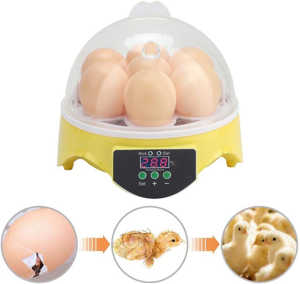  automatic . egg vessel in kyu Beta -7 piece automatic temperature control birds exclusive use . egg vessel easy operation digital display hi width birth child education for small size chicken egg a Hill home use 