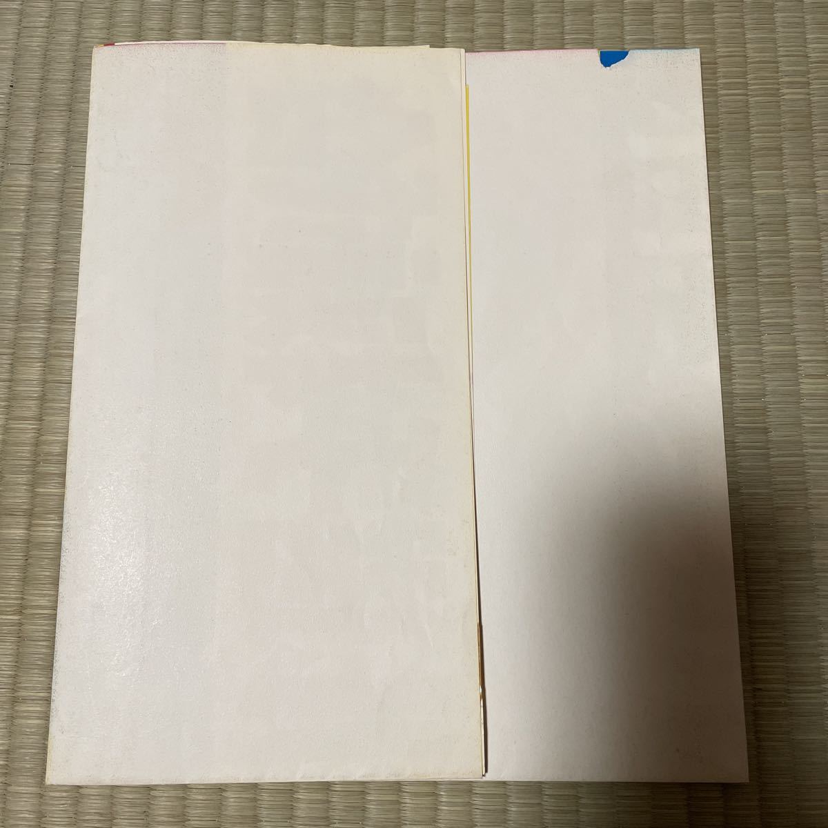 インターナショナル選手権試合 ポスター ボボブラジル VS大木金 インターナショナル選手権試合 ポスター ボボブラジル VS大木金