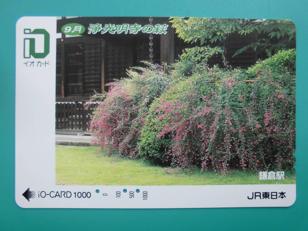  io-card использованный 9 месяц . свет Akira храм Hagi серп . станция [ бесплатная доставка ]