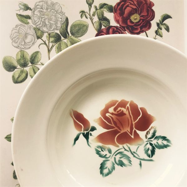フランスアンティーク Digoin Sarreguemines 薔薇とスーププレートb 1922~1965s サルグミンヌ ヴィンテージ 皿 ローズ 陶器 レトロ リム_画像1