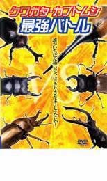  stag beetle * rhinoceros beetle strongest Battle rental used DVD